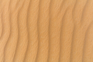 Fototapeta na wymiar Wavy sand of the great Sahara Desert.