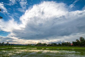 Sky mountains cornfield nature idyllic