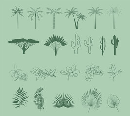 Collection of Summer Boho linear symbols, icons design. Palm, plant, flowers, leaf. Editable Vector Illustration.