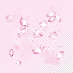 Cherry Sakura Blossom Confetti. Windy Leaves Confetti Banner. Falling