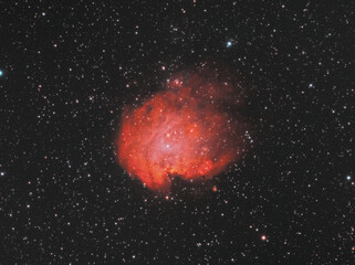 Monkey head in the Orion constellation. With its open cluster, called NGC 2174. Taken with my...