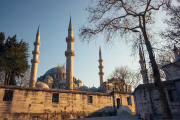 Fototapeta na wymiar Suleymaniye Mosque in Istanbul.