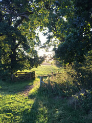 bench in autumn park