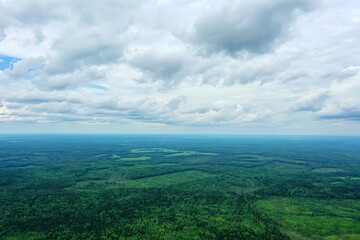 summer forest top view drone, background green trees panorama landscape