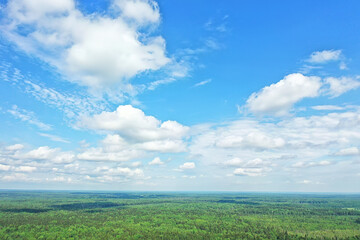 Obraz premium summer forest top view drone, background green trees panorama landscape