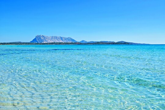landscape of the beautiful La Cinta beach with crystal clear water in San Teodoro in the province of Sassari in Sardinia Italy