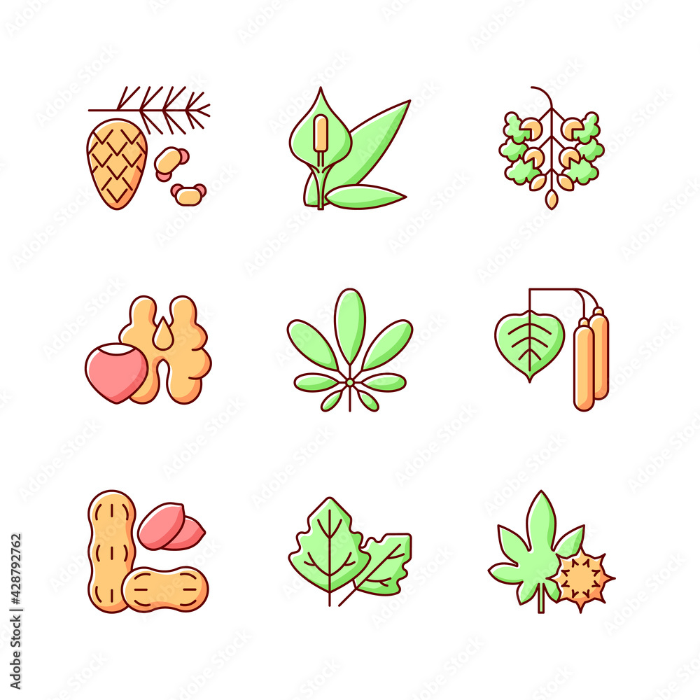 Wall mural Allergens and allergy causes RGB color icons set. Cedar, pine tree pollen. Peace lily. Poplar tree pollen. Tree nuts, peanut. Alergic reaction. Food intolerance. Isolated vector illustrations