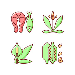 Common allergens RGB color icons set. Fish as cause for allergy. English plantain. Peace lily, flower pollen. Sesame seeds. Allergic reaction and food intolerance. Isolated vector illustrations