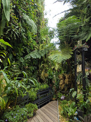 tropical garden