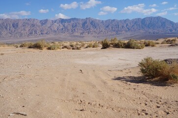 Sand dunes in the desert, selective focus