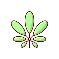 Schefflera RGB color icon. Flowering plant. Tropical leaf. Umbrella tree. Cause of seasonal allergic reaction. Exotic foliage. Green tree, bush sprout. Isolated vector illustration