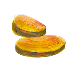 Two slices of turmeric isolated on white background.  Watercolor hand drawn illustration. - 428796178