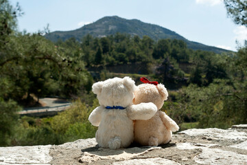 Two teddy bears in mountain forest