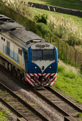 Obraz premium locomotive of a train circulating through the city. entering a bridge by the rails
