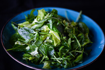 mix of fresh lettuce close up