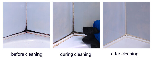 A collage of photos before, during, and after cleaning the black toxic mold in the inter-tile seams...