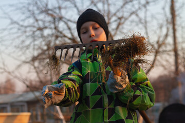 A teenage boy removes dry grass from a rake in the spring. Spring cleaning of the garden with a rake