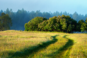 Spring scenery. Misty sunrise. Green meadow surrounded woodland. Road on meadow.