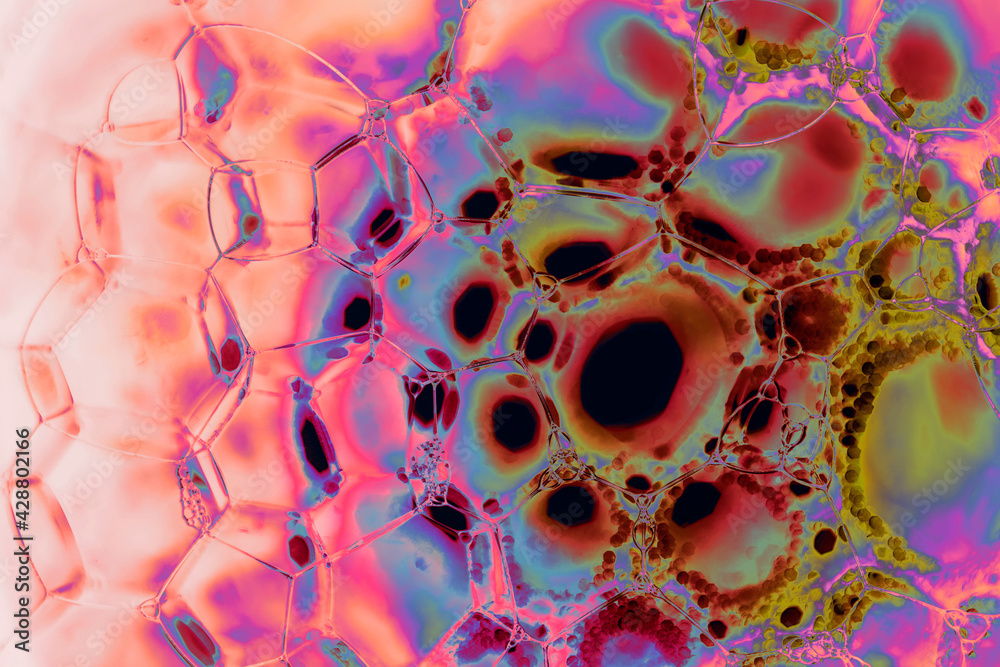 Fototapete close up beautiful abstract soap bubbles. background pattern for design. macro photography view.