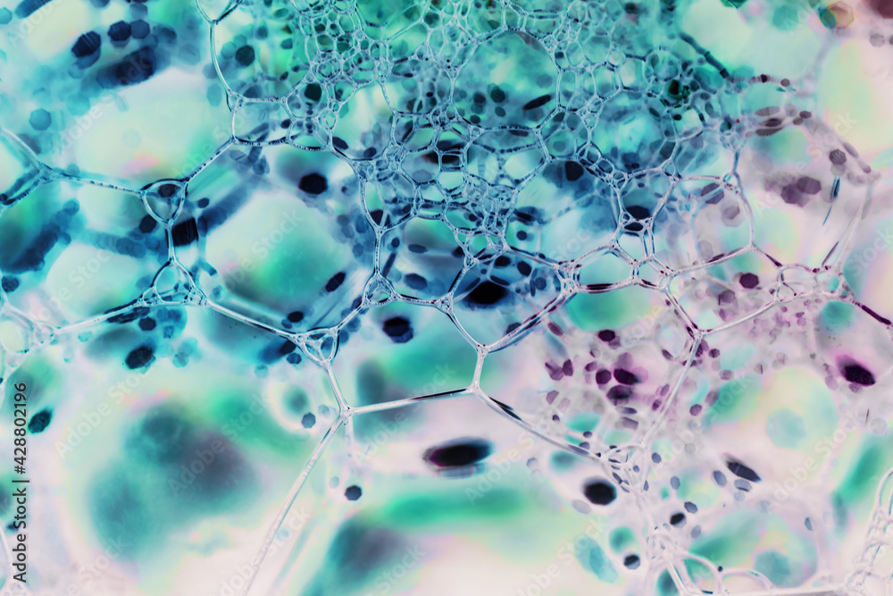 Fototapete close up beautiful abstract soap bubbles. background pattern for design. macro photography view.