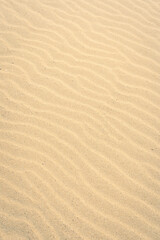 Fototapeta na wymiar close-up of sand pattern at the Dutch coast, no people