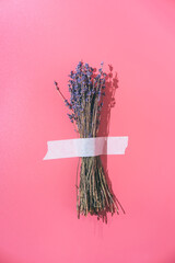 A bouquet of lavender is glued with white tape to a pink background. Creative fun concept in the style of minimalism.