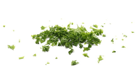 Fresh green sliced French parsley leaves isolated on white background