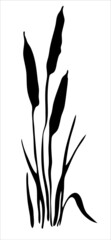 Oriental ink painting. Reeds. River plants. Image in one color. Vector. 