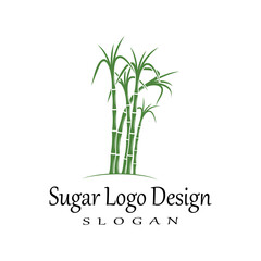 Fototapeta na wymiar Sugar cane Logo Template vector symbol nature