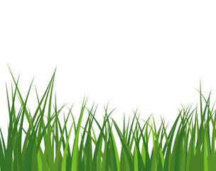 Obraz premium Green Grass Meadow