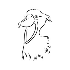 Stork icon in outline style isolated on white background. Bird symbol stock vector illustration. whalehead royal stork, vector sketch