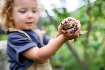 Close up portrait of small girl holding a frog outdoors in summer.