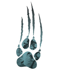 silhouette of a wolf paw with scratches. Inside a forest landscape with a howling wolf. White background isolated object  - 428809508