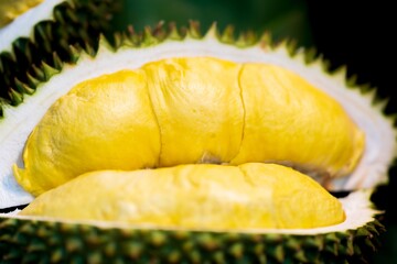 Close up of Fresh Durian Fruit Ripe, thai street food market