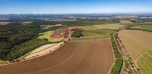 fazenda de plantio de monocultura