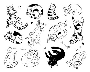 Collection of cute doodle cats. Bundle of funny diverse pet animals hand drawn with contour lines on white background. Playful and sleeping kittens. Monochrome vector illustration