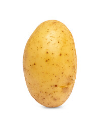 Fresh potato isolated on white background