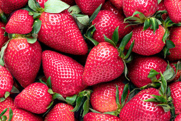 fresh strawberries, textured red background, macro photography. Fresh berry
