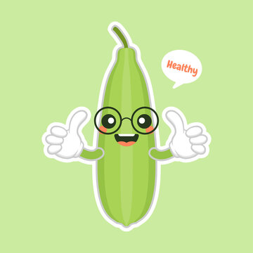 Cute and kawaii Luffa cartoon character. Loofah (Luffa acutangula), or sponge gourd, vegan plant. Hand drawn botanical vector illustration. Loffa vegetarian plant. Vegetable vector illustration