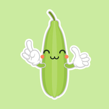 Cute and kawaii Luffa cartoon character. Loofah (Luffa acutangula), or sponge gourd, vegan plant. Hand drawn botanical vector illustration. Loffa vegetarian plant. Vegetable vector illustration