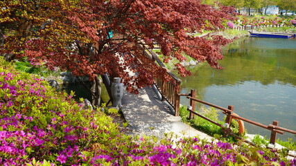 韓国　公園の風景(イチョン)
