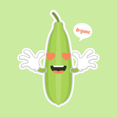 Cute and kawaii Luffa cartoon character. Loofah (Luffa acutangula), or sponge gourd, vegan plant. Hand drawn botanical vector illustration. Loffa vegetarian plant. Vegetable vector illustration