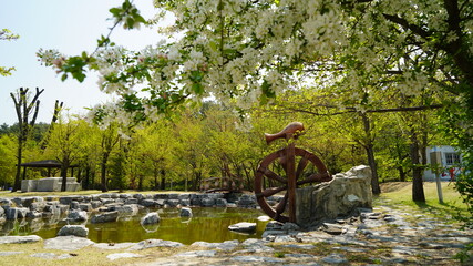 韓国　公園の風景(イチョン)