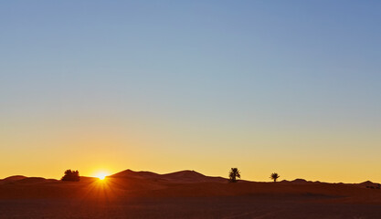 Sand dunes in the Sahara Desert, Morocco