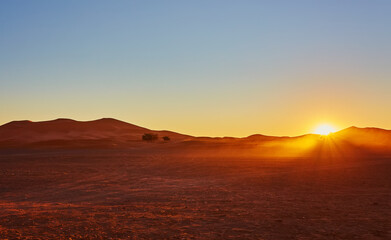 Beautiful sand dunes in the Sahara desert