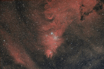 Cone Nebula - Nebulosa Cono e Albero di Natale