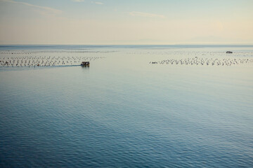 Fishing boat is crossing over calm sea to the shellfish farm