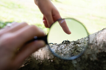 蟻を虫眼鏡で観察する親子
