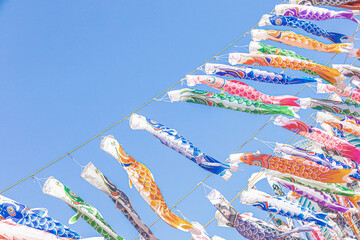 鯉のぼり　こどもの日　