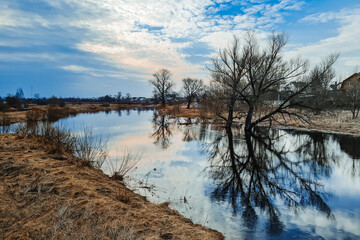 Northern landscape in early spring. High water, swampy countryside. Ecological tourism. Trees and blue sky are reflected in the water.